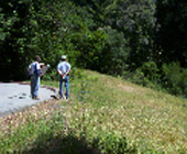 Field review 