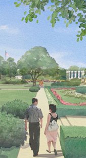 Proposed subtle improvements to pedestrian walk