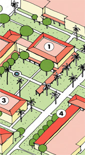 Precinct study and guidelines